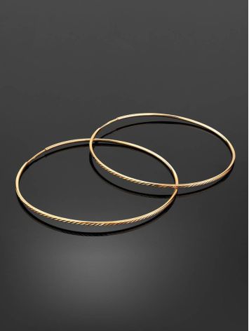 Chic Golden Hoop Earrings, image , picture 2