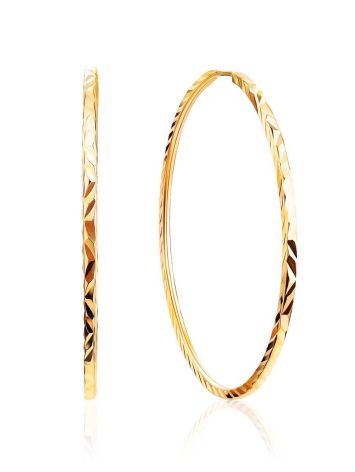 Stylish Golden Hoop Earrings, image 