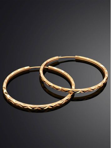 Chic Golden Hoop Earrings, image , picture 2