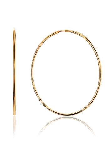 Sleek Golden Hoop Earrings, image 