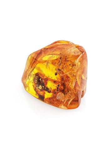 Natural Textured Amber Stone With Ant Inclusion, image 