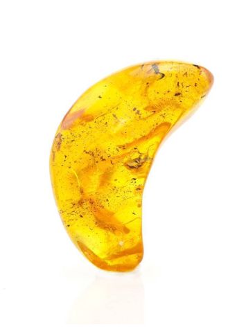 Natural Amber Stone With Inclusion, image , picture 9