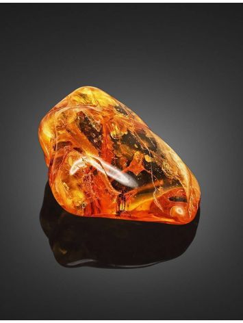 Natural Amber Stone With Mosquito Inclusion, image , picture 3
