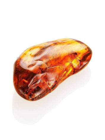 Amber Stone With Fly Inclusion, image , picture 4