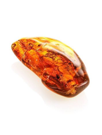 Amber Stone With Fly Inclusion, image , picture 5