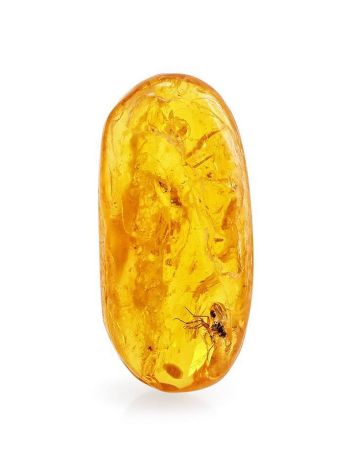 Natural Amber Stone With Mosquito Inclusion, image 