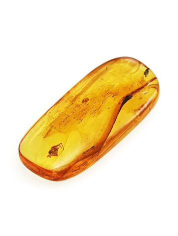 Souvenir Amber Stone With Spider Inclusion, image 