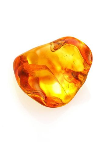 Glossy Amber Stone With Insect Inclusion, image , picture 5