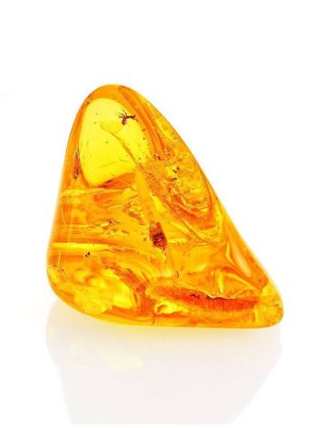 Luminous Amber Stone With Spider Inclusion, image 