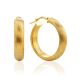 Classy Matte Finish Gilded Silver Hoop Earrings The Silk, image 